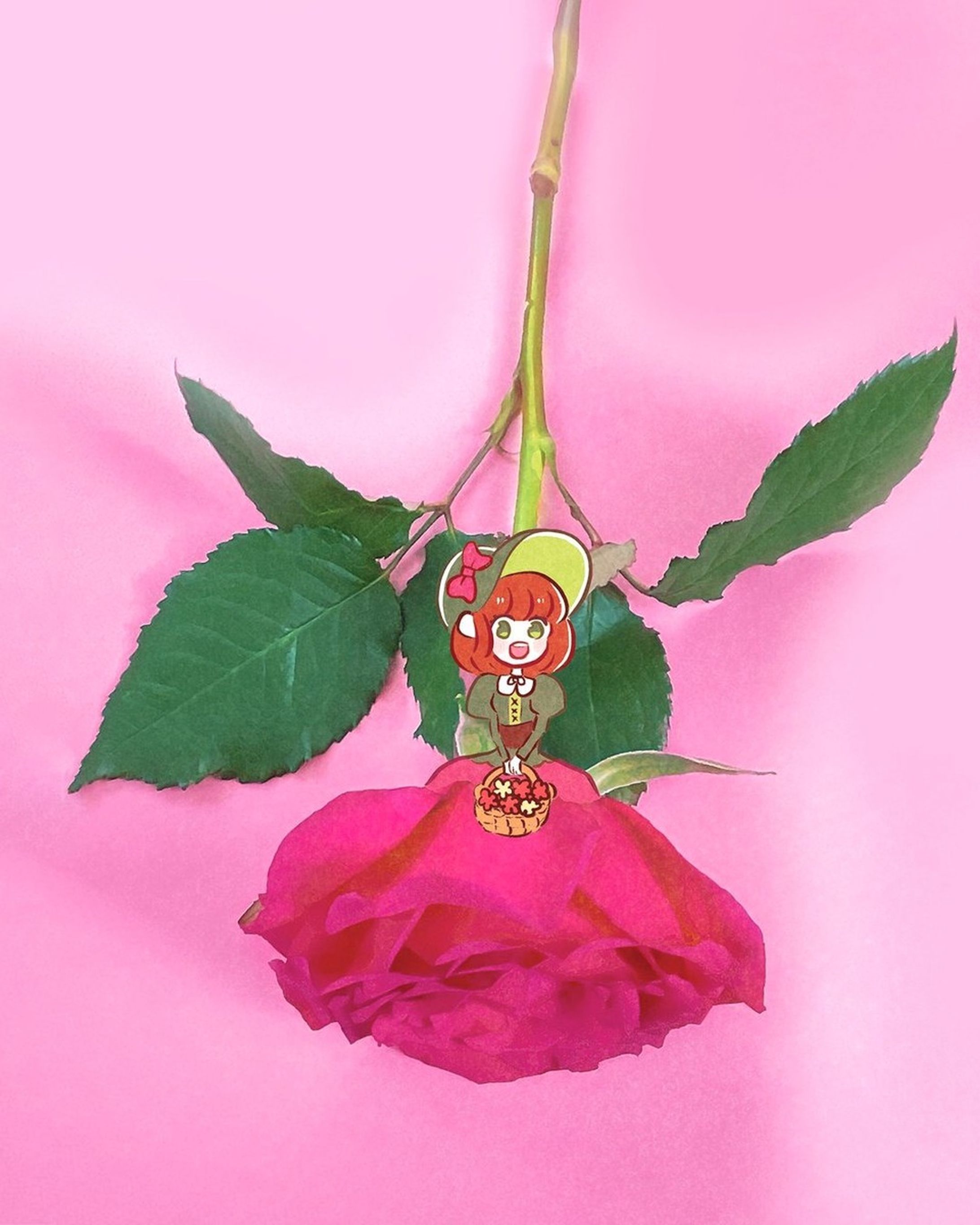 「ちいさな淑女と薔薇のドレス」
バラの写真の上に女の子を描きました🌹
他の投稿はこちらから✨ → @enayacomic

- - - - - - - - - - - - - - - - - - -

🌹薔薇
【花言葉】愛・美

- - - - - - - - - - - - - - - - - - -

#はしもとあやね #ふぉといらすと #コラージュ #イラスト #オレンジ #かわいいイラスト #花のドレス #おんなのこイラスト #絵本のような世界 #女の子イラスト #落書きイラスト #写真にお絵描き　#photodoodle #flower #薔薇 #rose #ピンク #写真に落書き #写真にお絵描き #characterillustration #girl #illust #illustration #artwork #art #그림계정맞팔 #日常に魔法をかけて-1