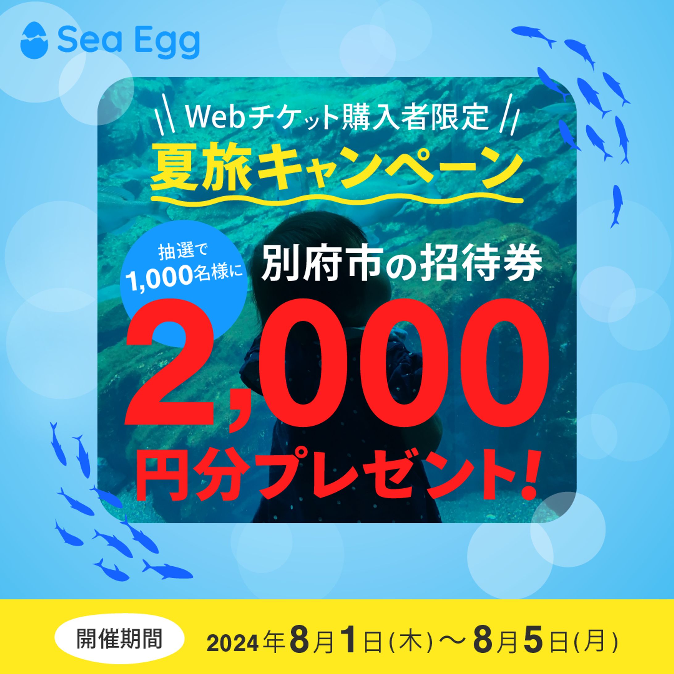 水族館のSNS広告用バナー-1
