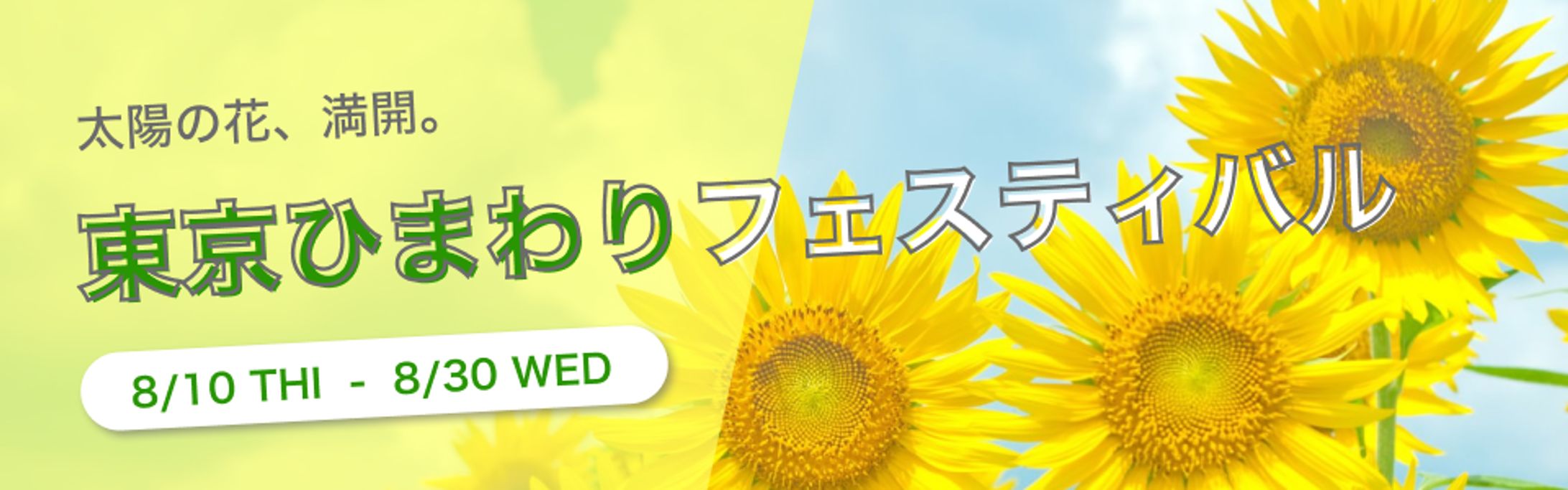 ひまわりフェスティバルバナー-1