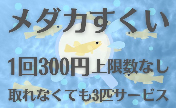 メダカすくい料金表