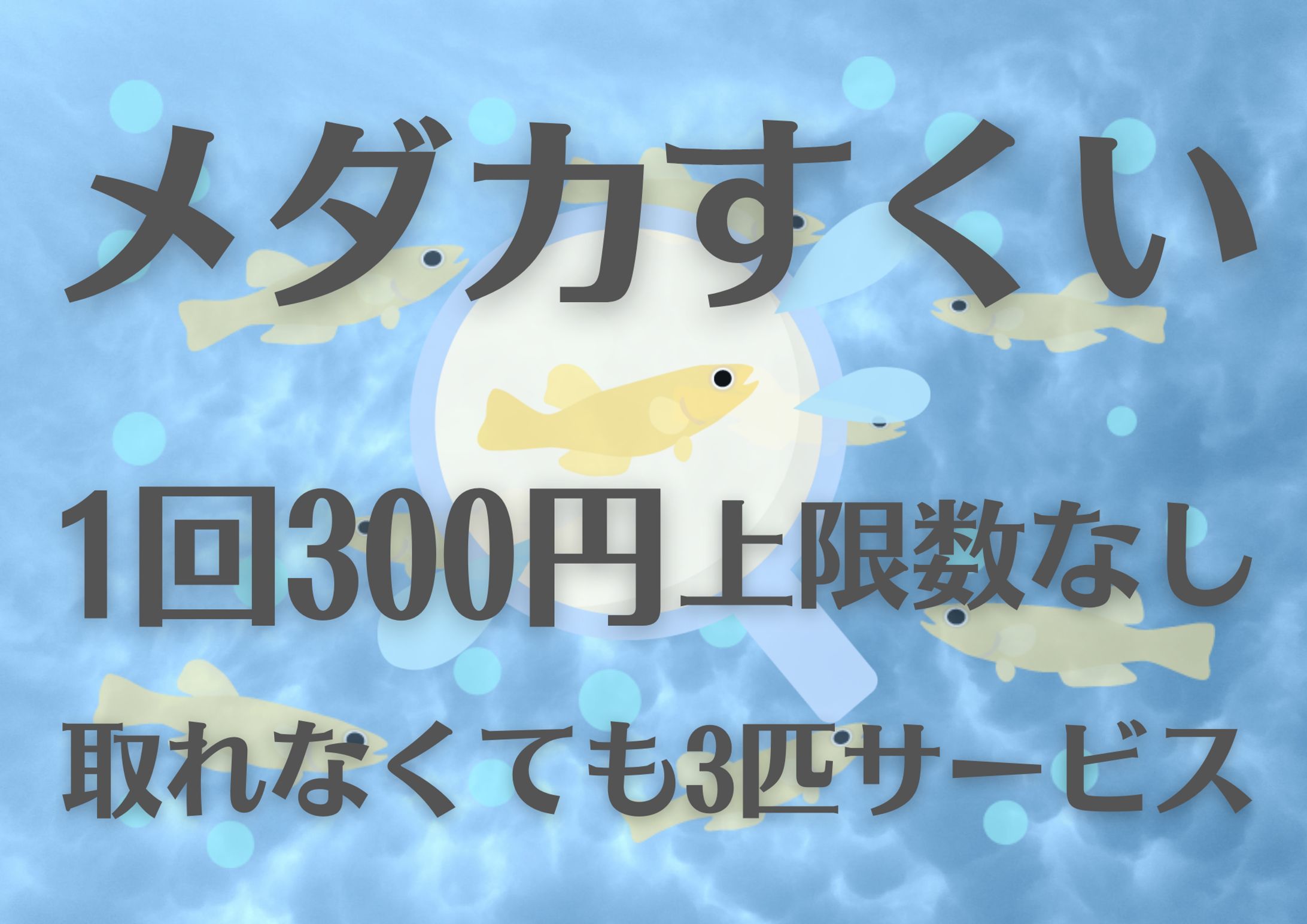 メダカすくい料金表-1
