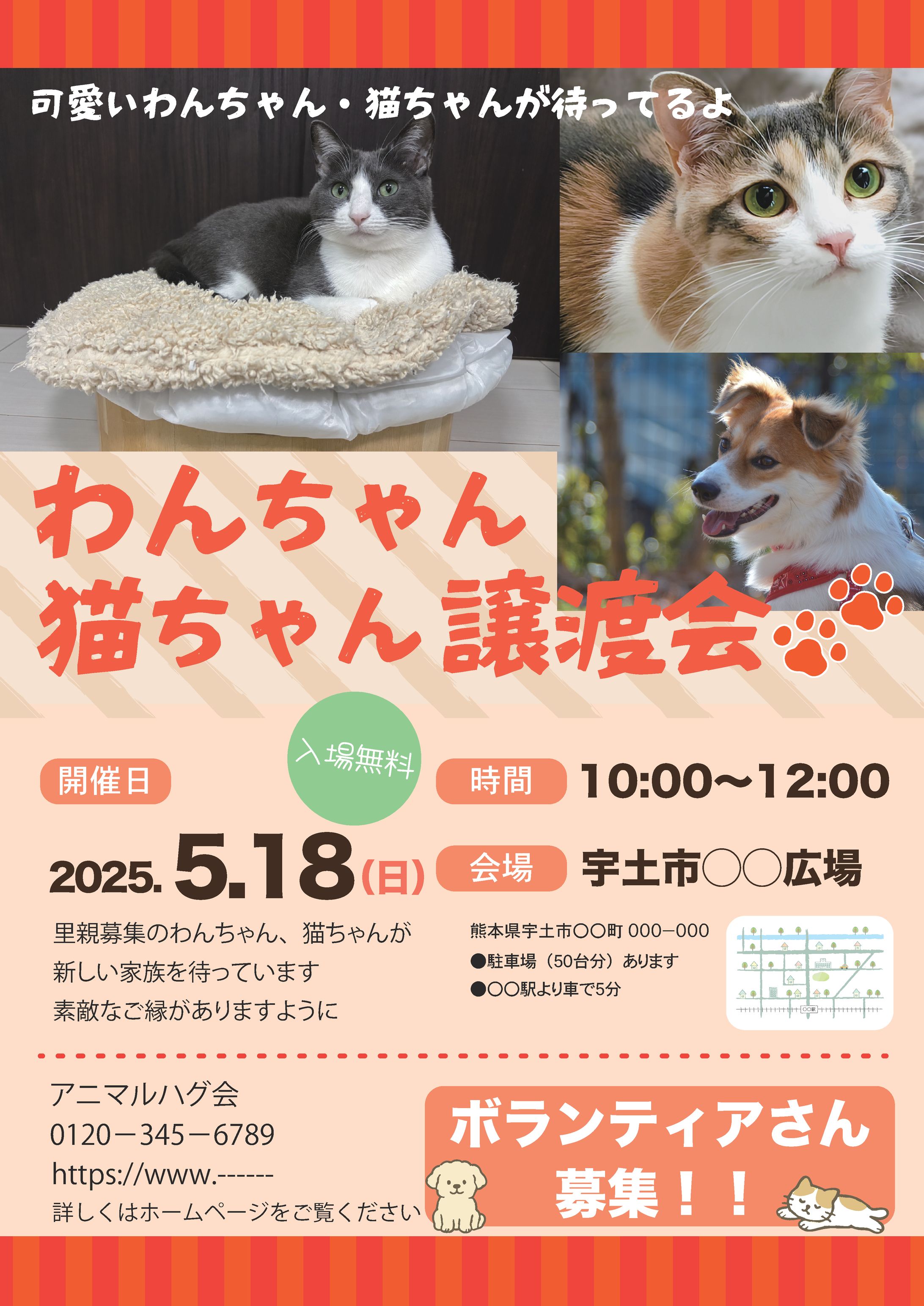 譲渡会チラシ-1