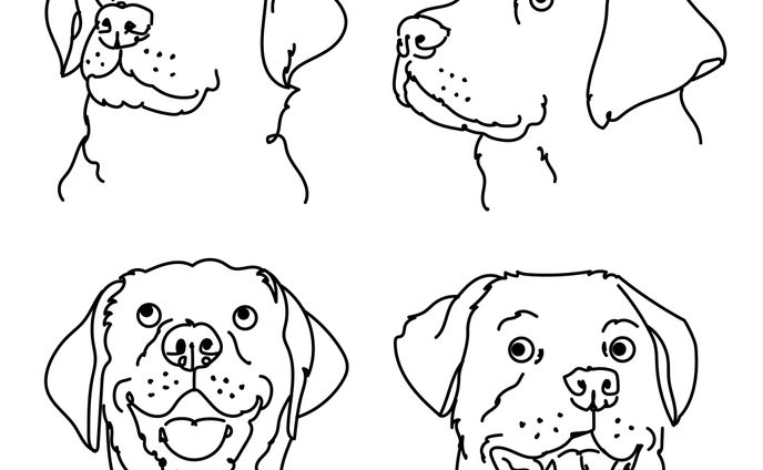 dog、fabric