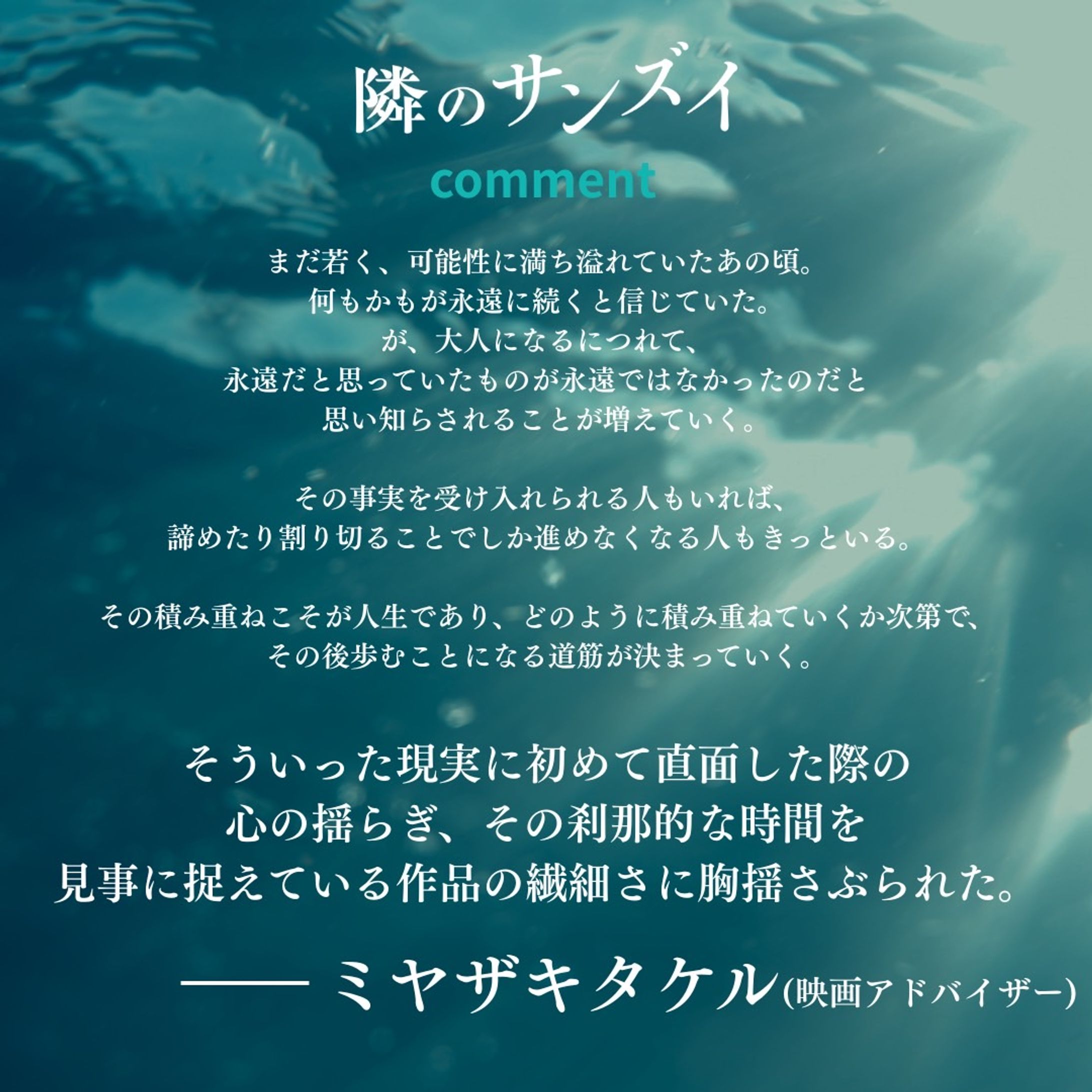 『隣のサンズイ』オピニオンコメント-1