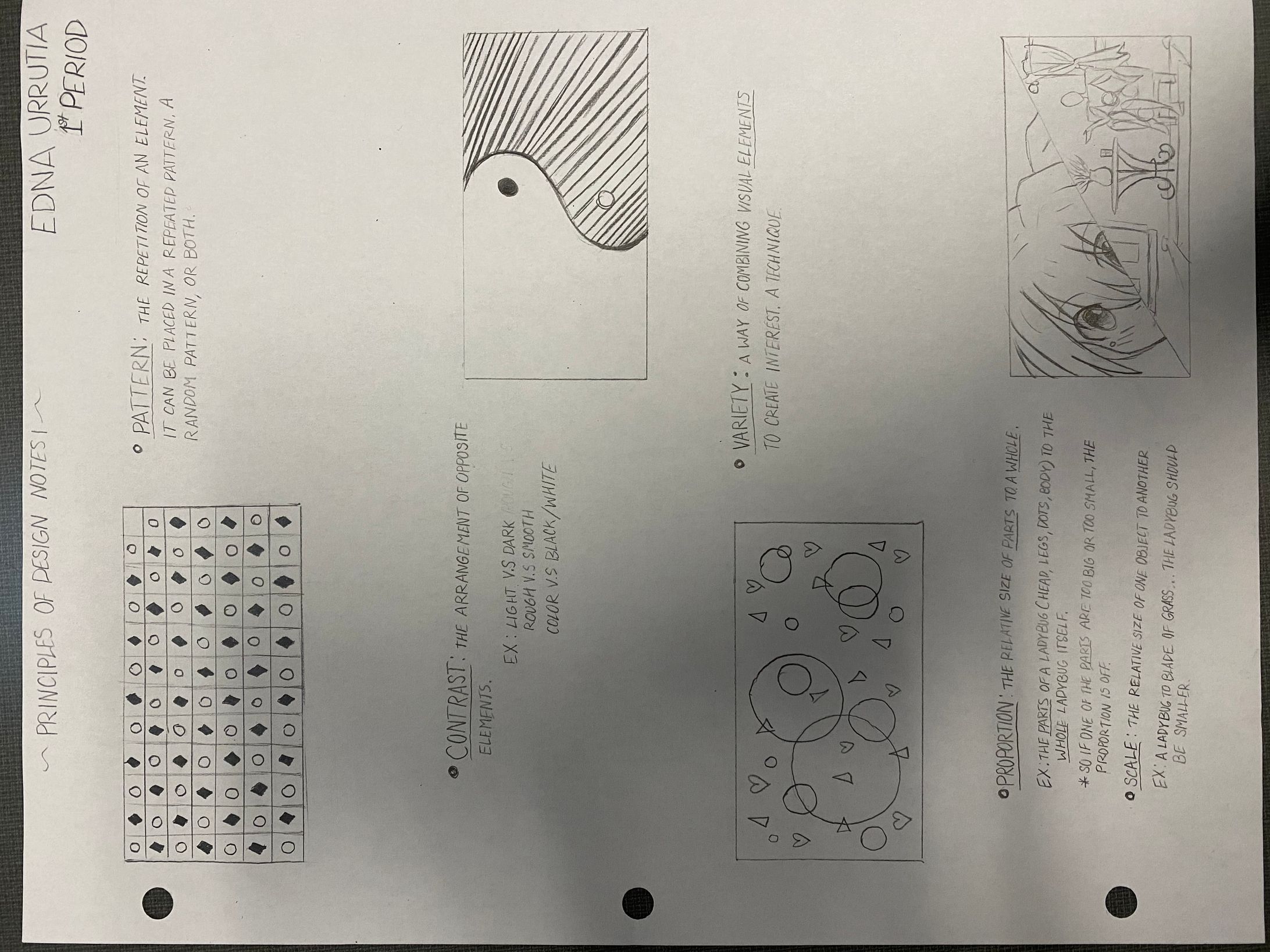 Principle of design  -1