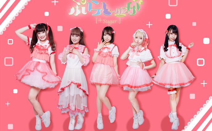 ぷらしゅが　アーティスト写真