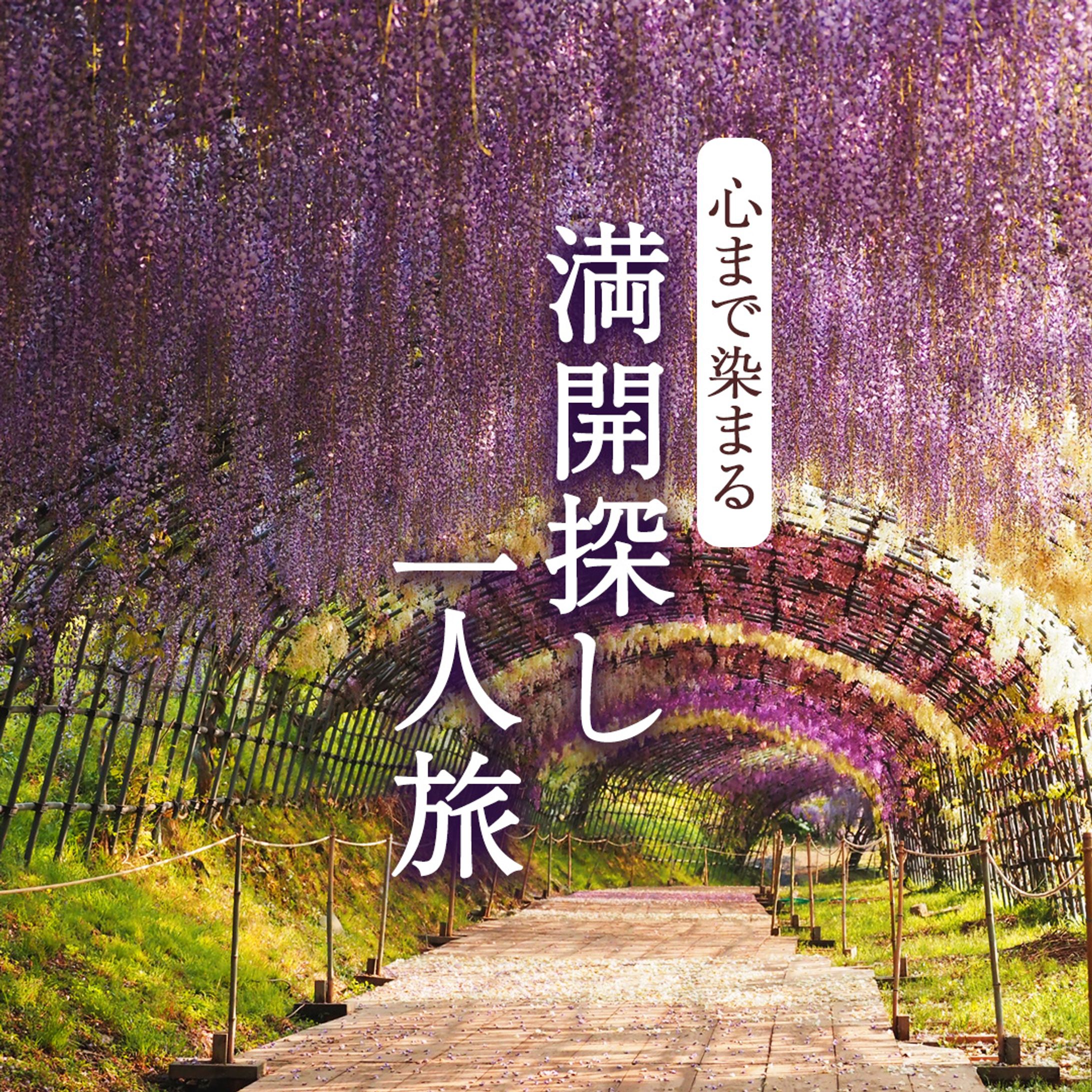 Instagram投稿画像-1