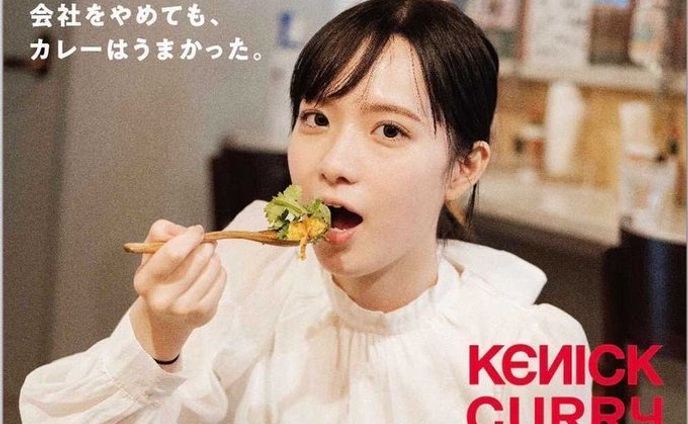ケニックカレーのモデル