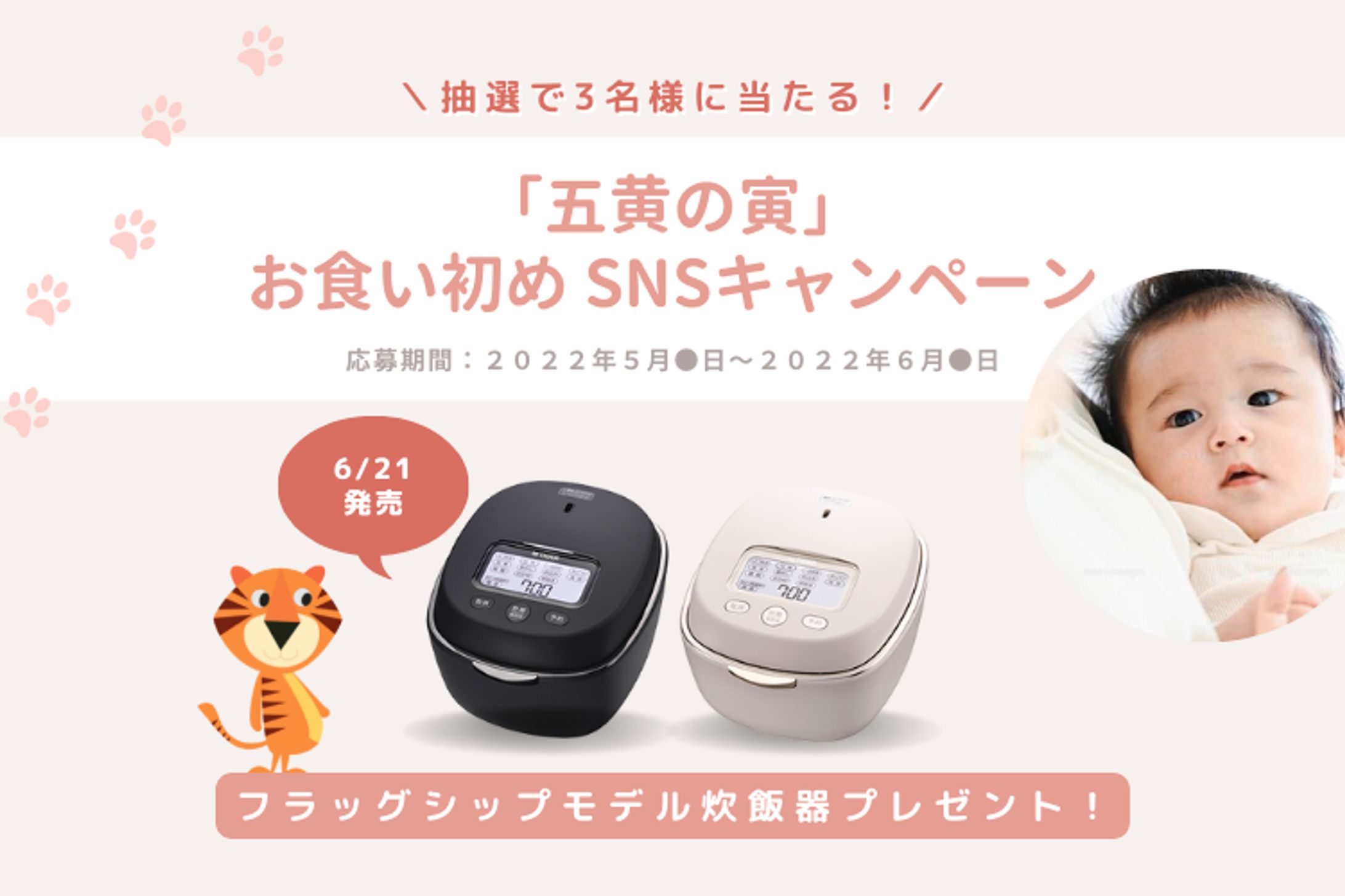 【TIGER】虎の年WebバナーCPクリエイティブ制作-1