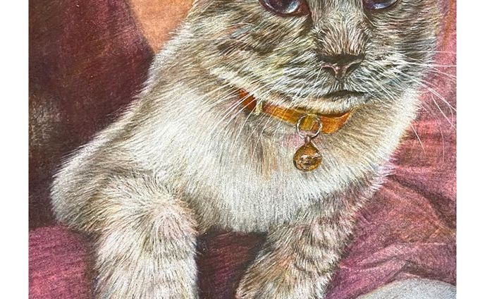 動物系、color pencil