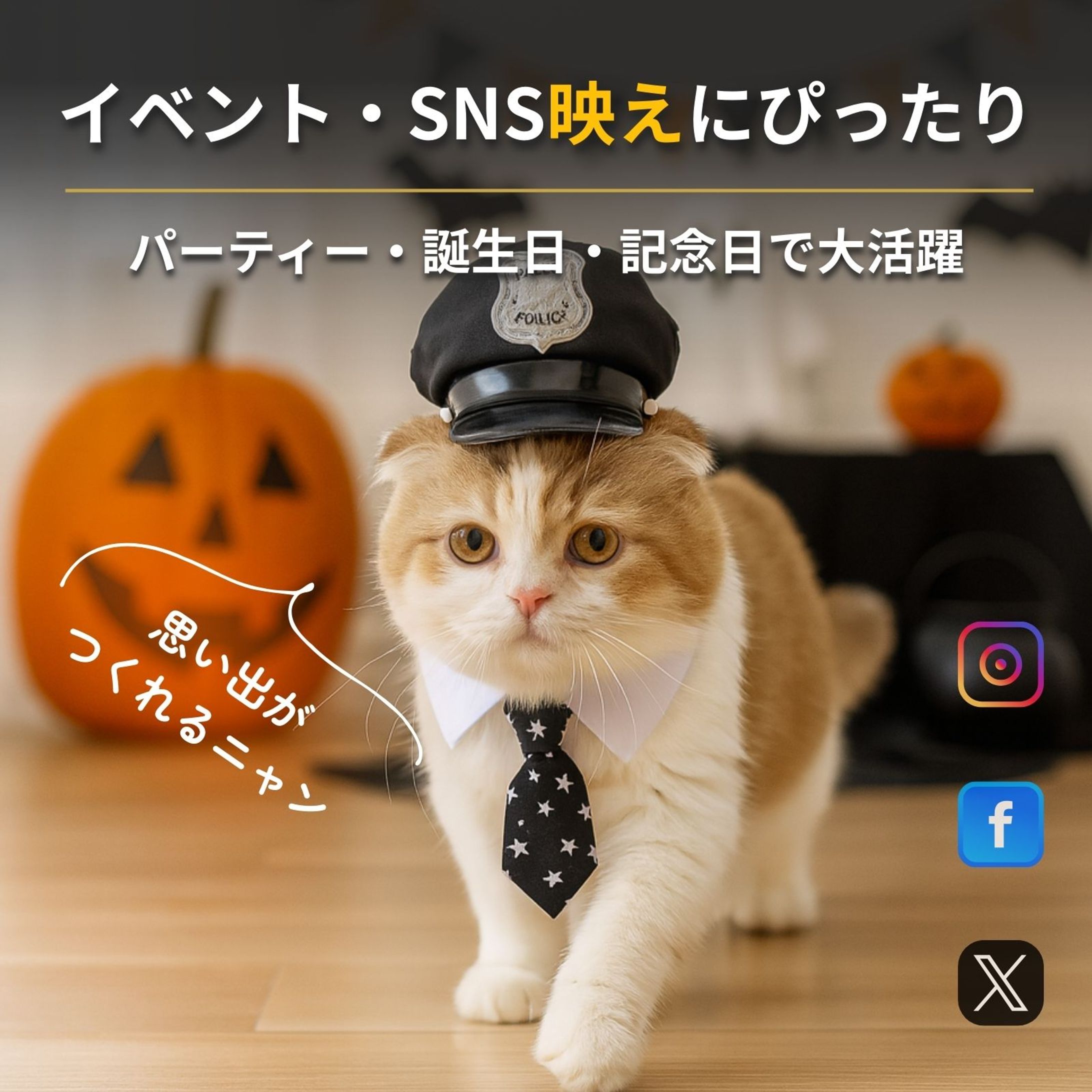 動物モデル不要！AI画像生成＋Canva ProでAmazon画像制作-1