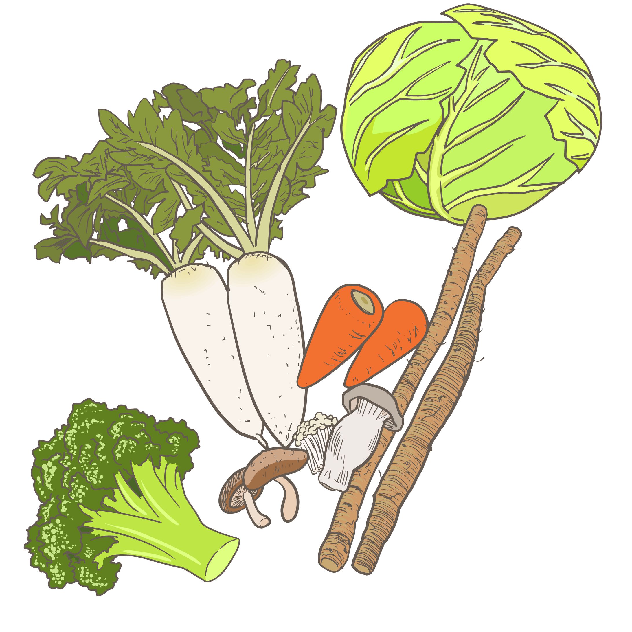 野菜_食物繊維set_B-1