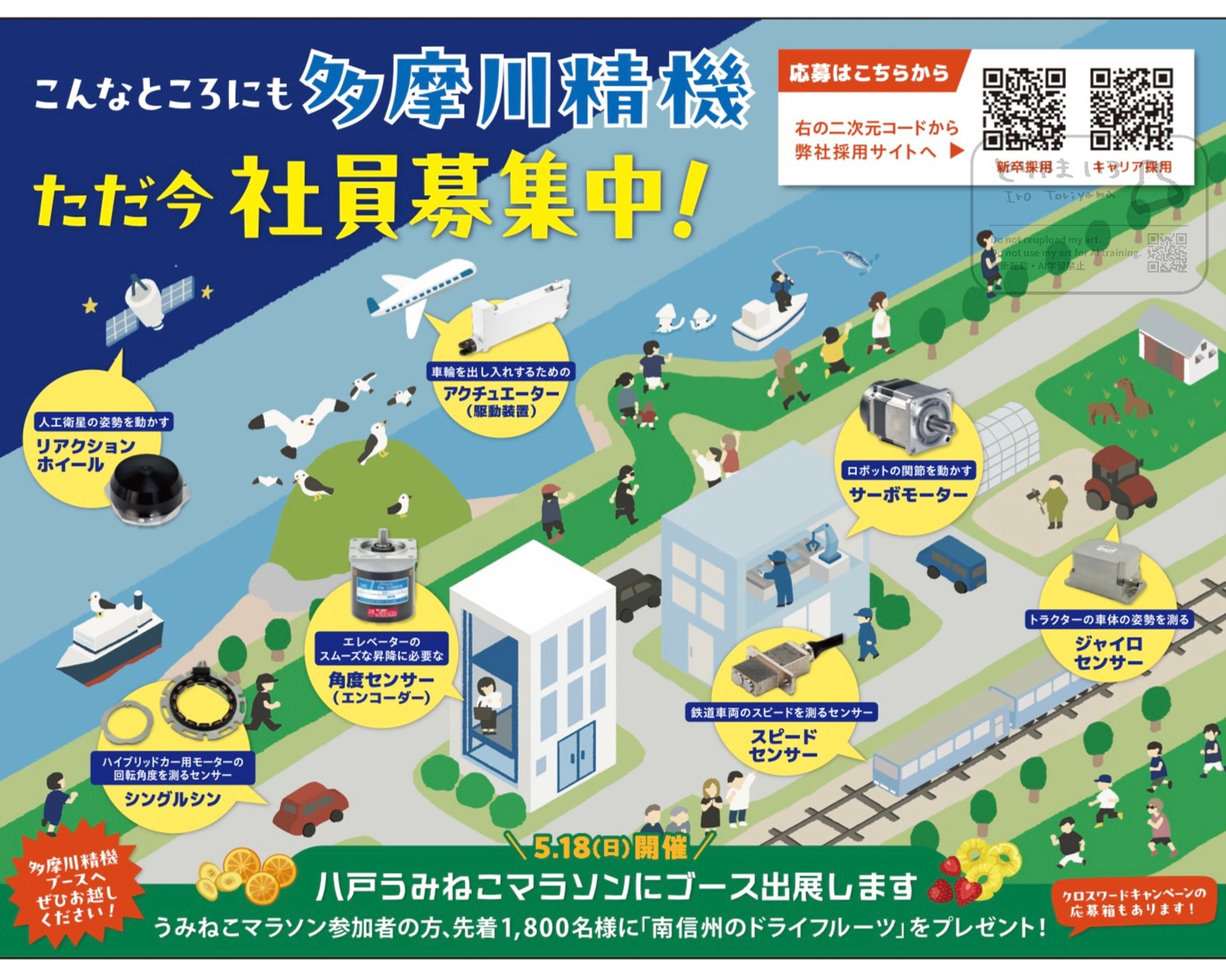 八戸うみねこマラソン協賛広告イラスト-1