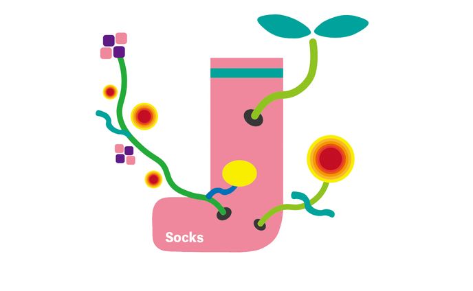 【1週間デザイン】靴下①花