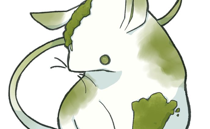 参