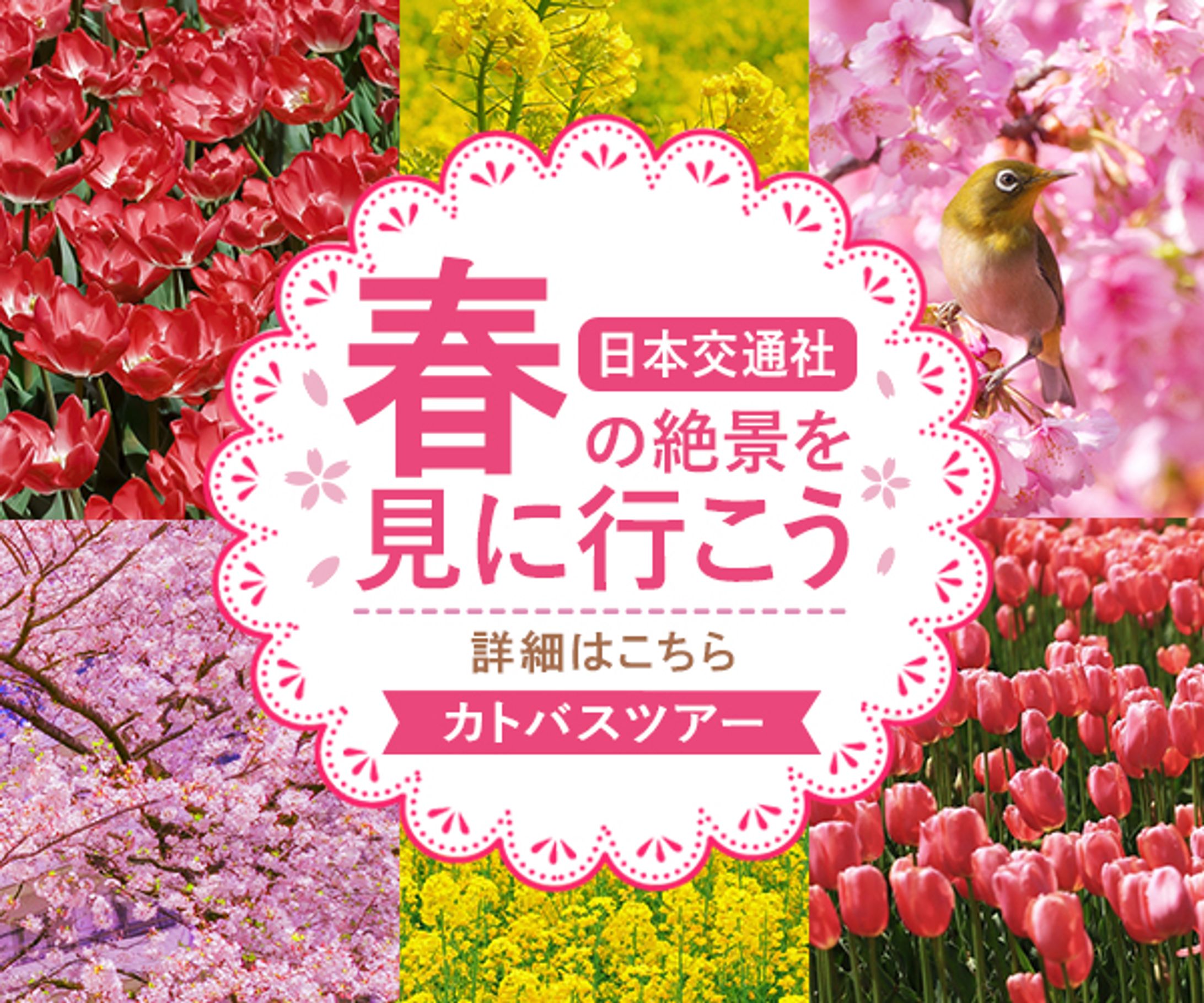 バナー_春のバスツアー-1