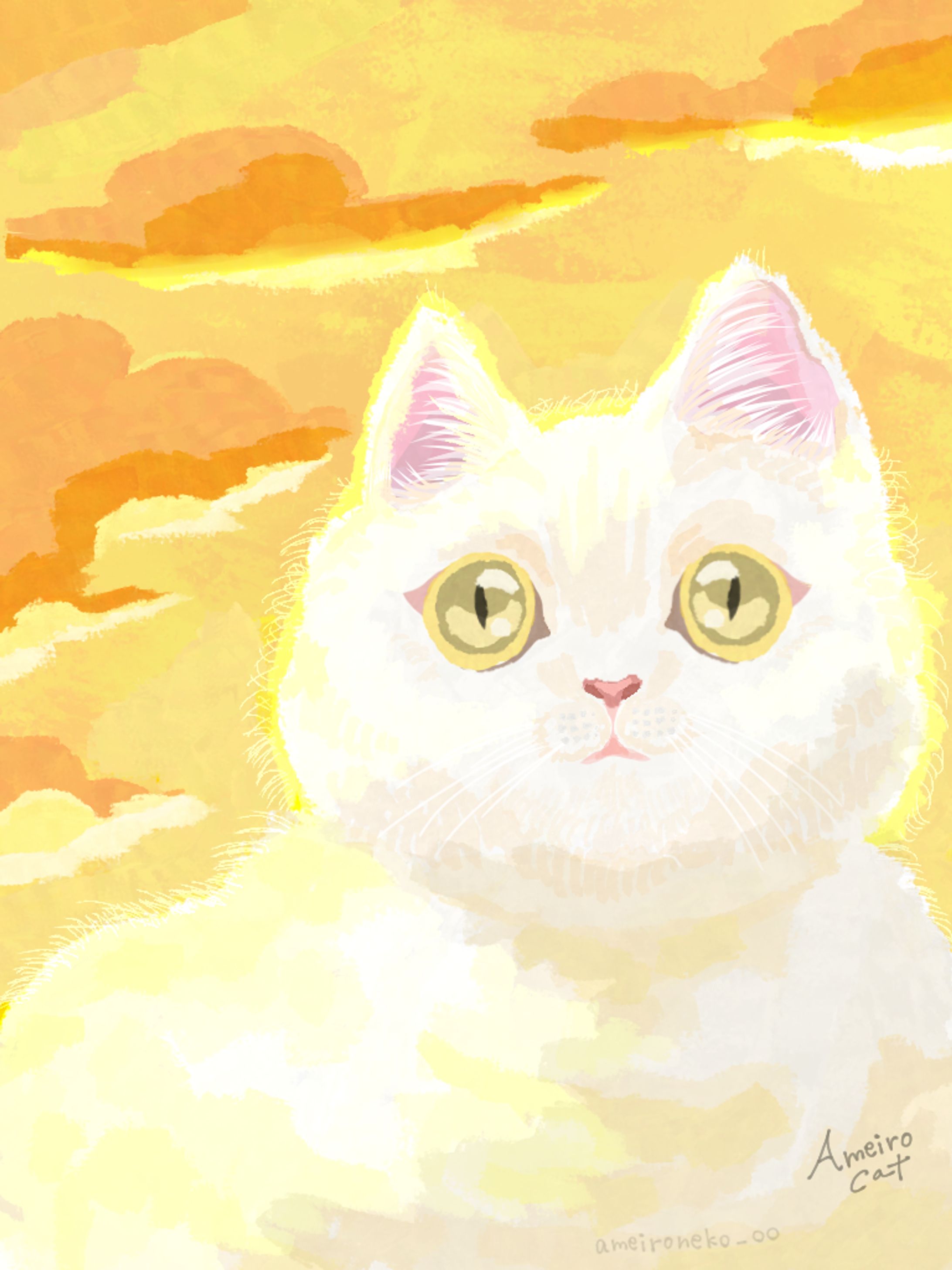 夕方ねこ-1