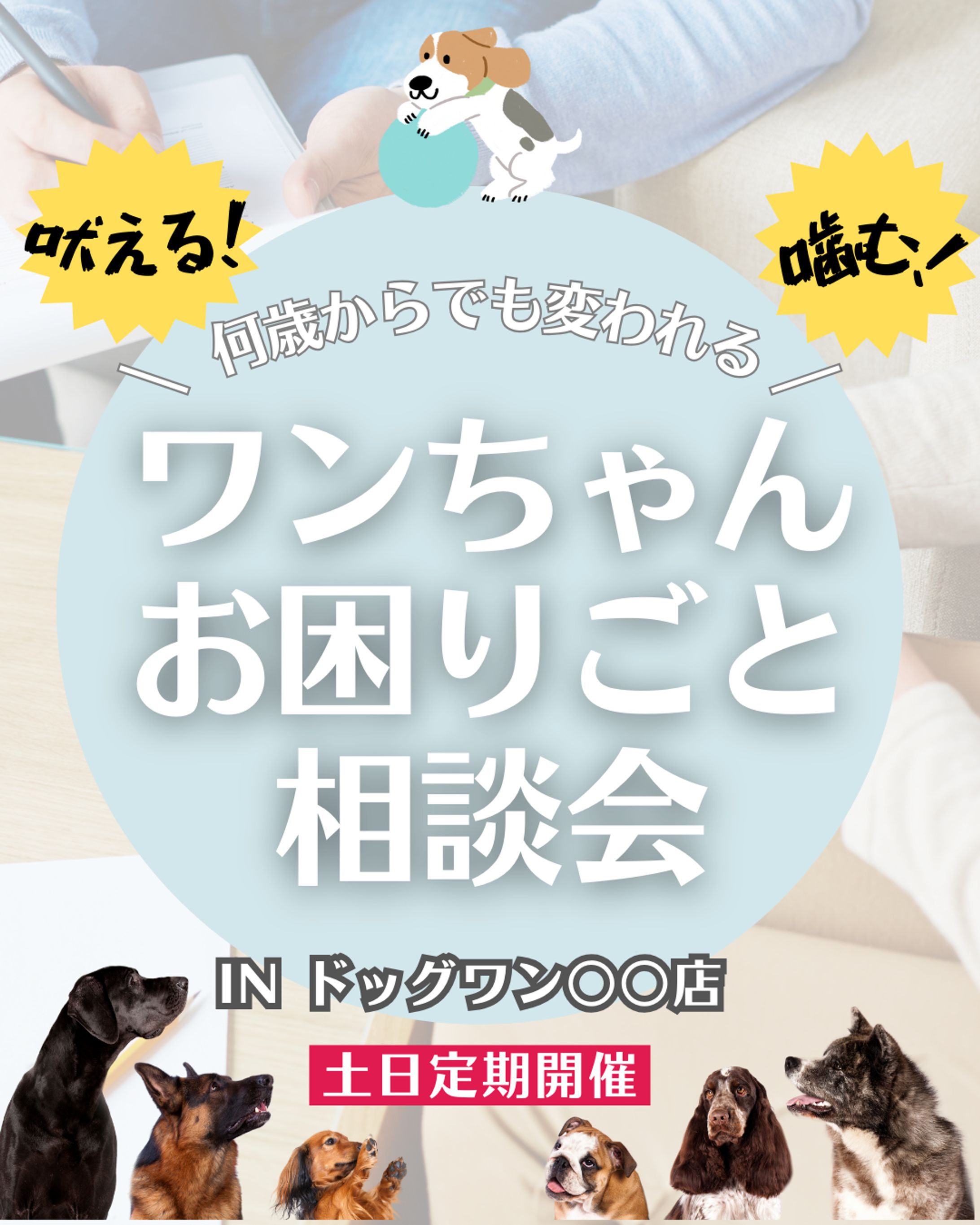 ペット店【インスタデザイン】-1