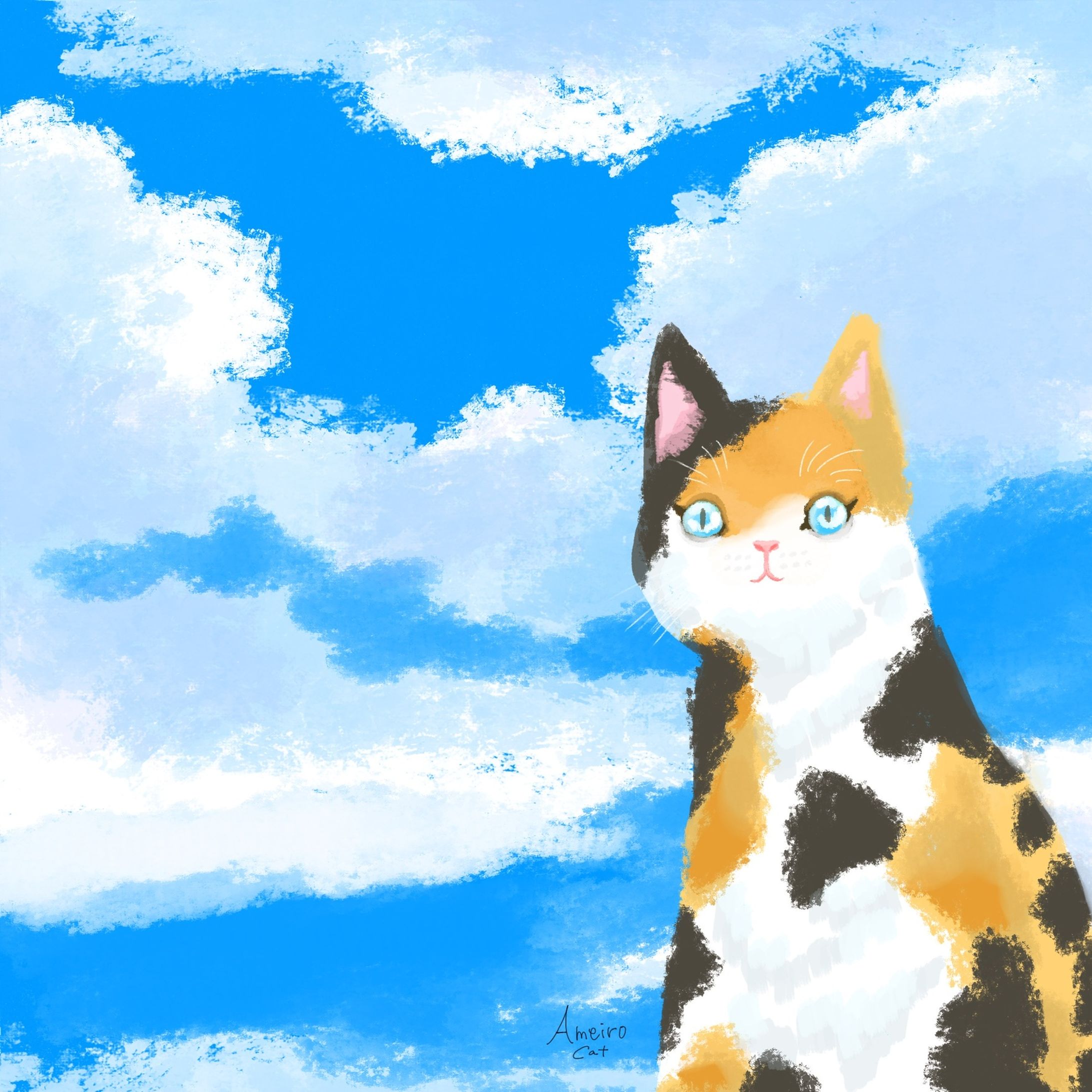 青空ねこ-1