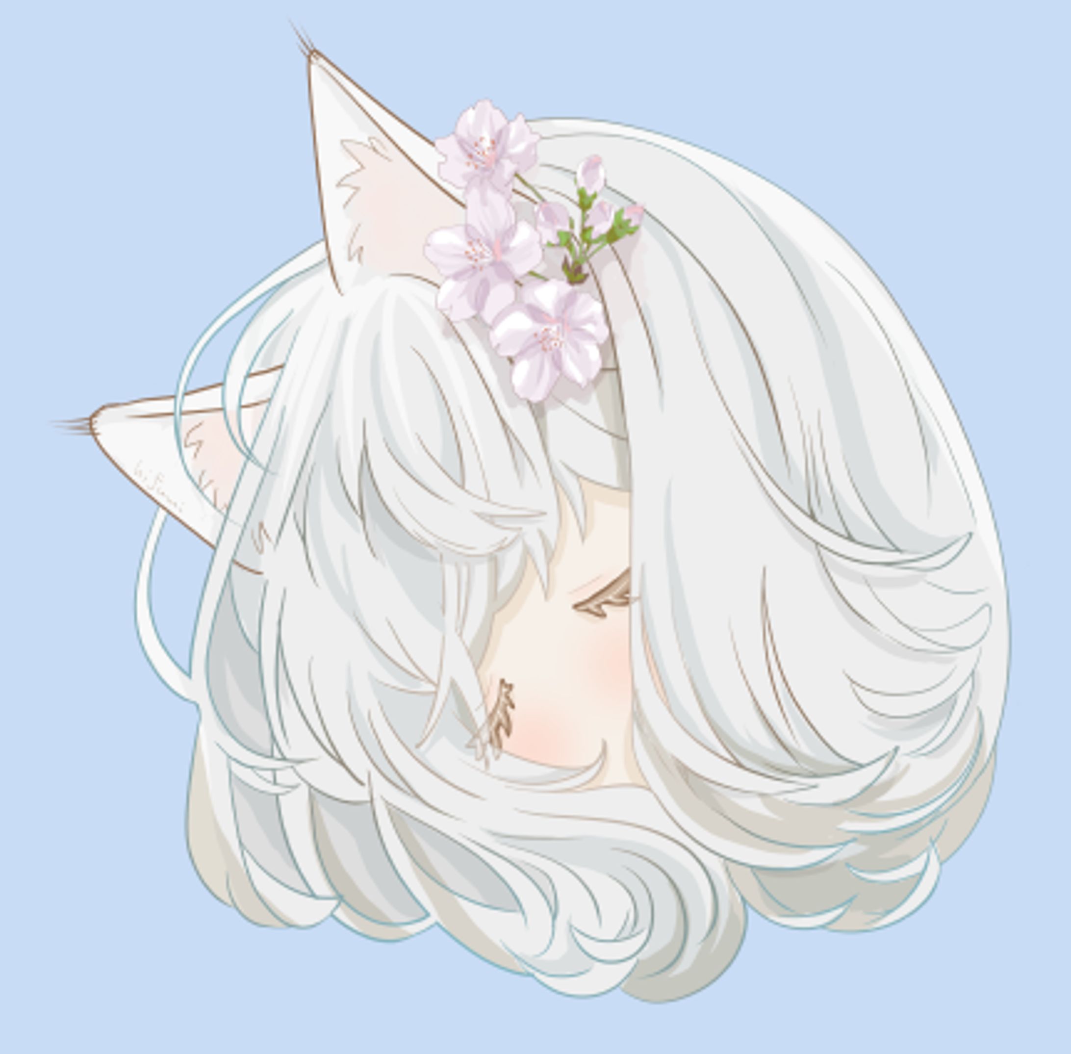 サクラ猫-1