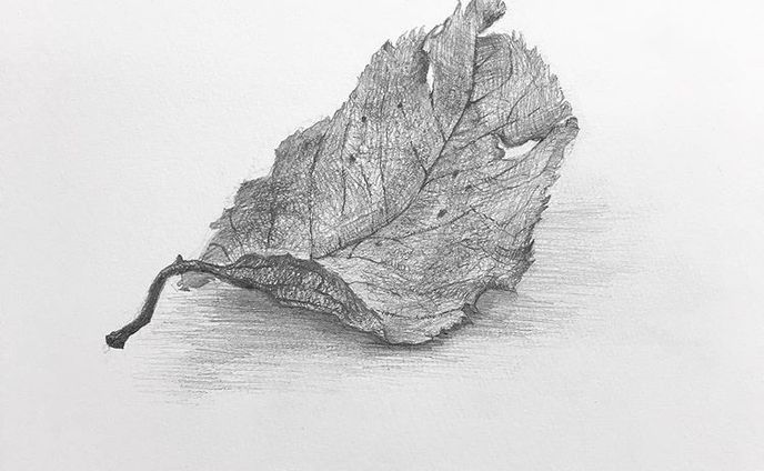 dessin