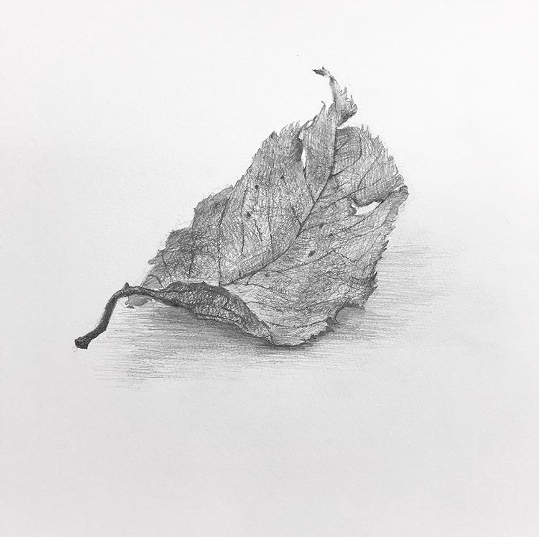 dessin-1