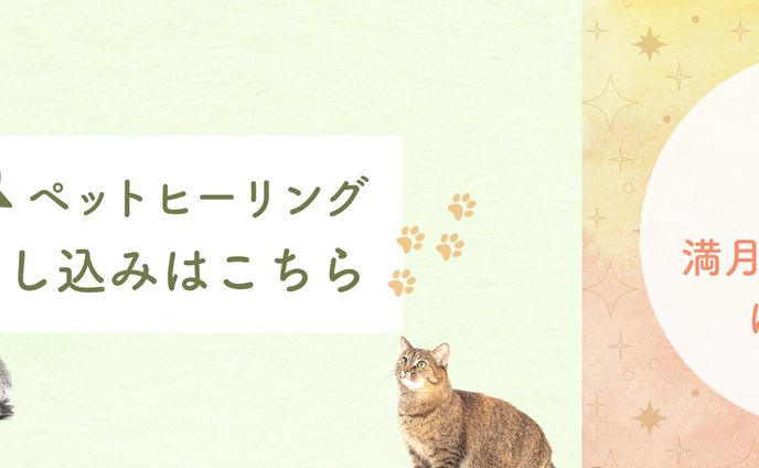 カメラマン、印刷物