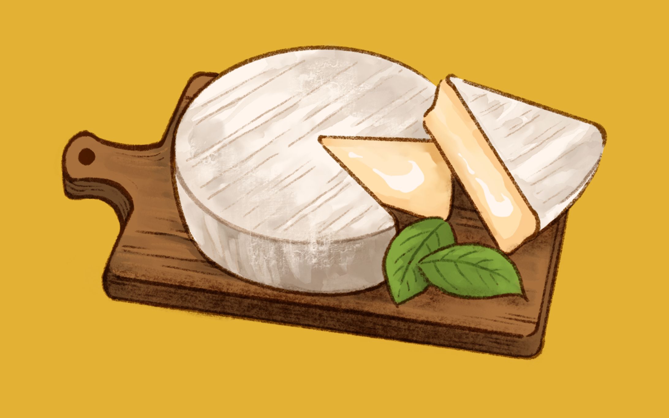 チーズバウムクーヘンのパッケージ用イラスト-1