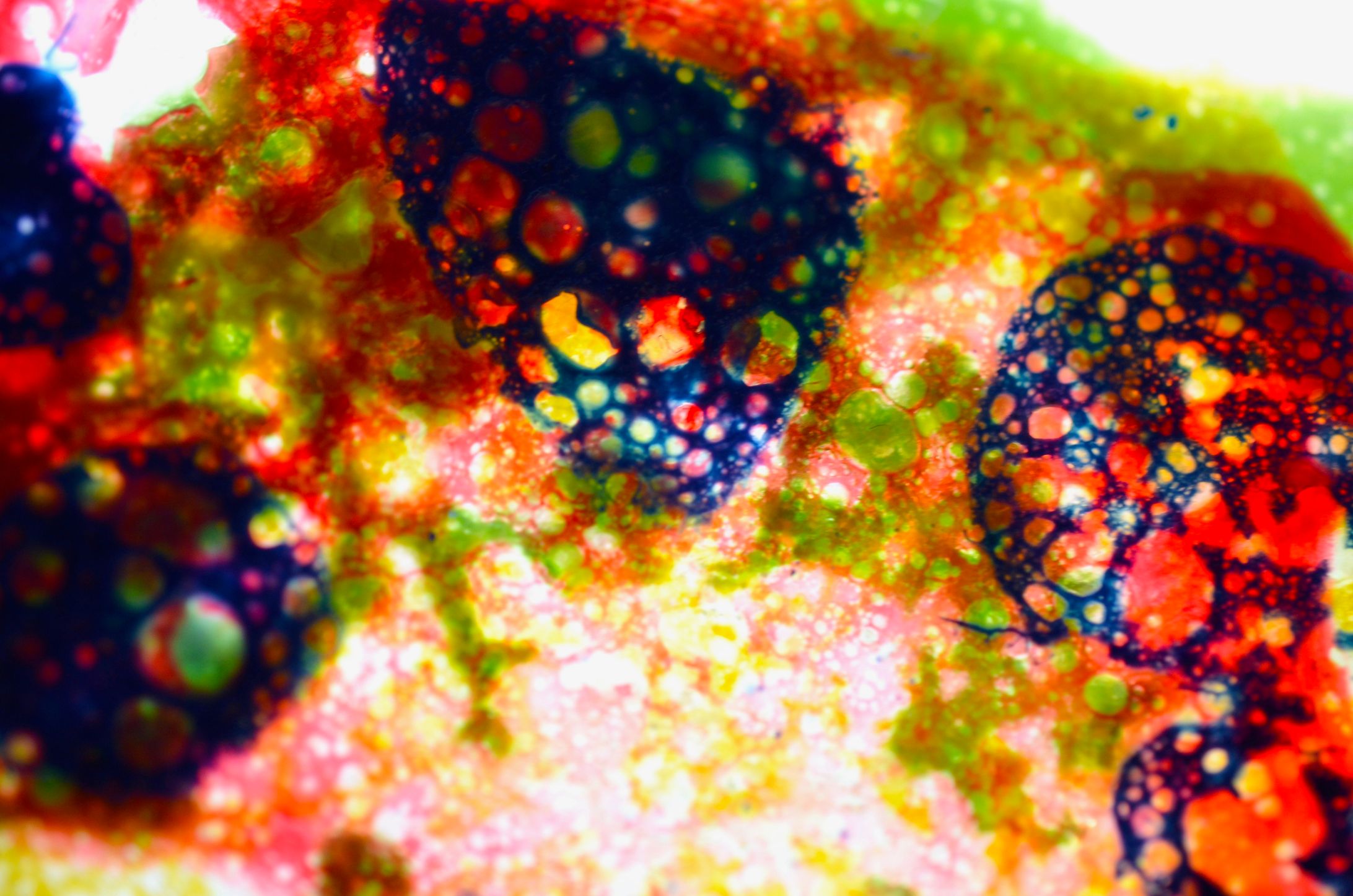 舞う蝶/地を這う虫-1