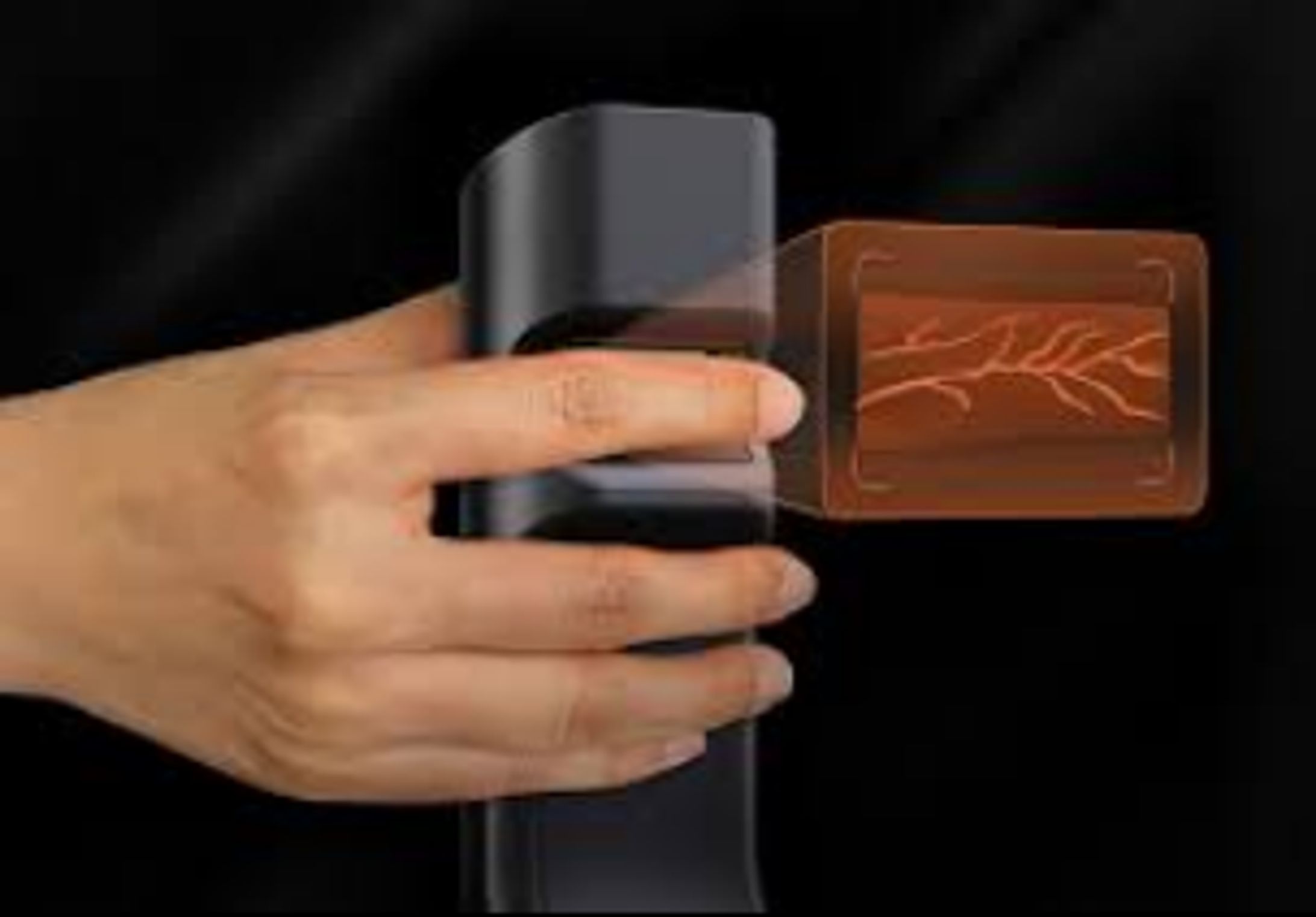 指静脈認識モジュールの世界および日本市場：メーカー、シェア、トレンド予測2026-1