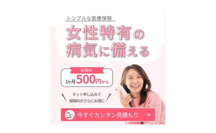 医療保険　フレームあり