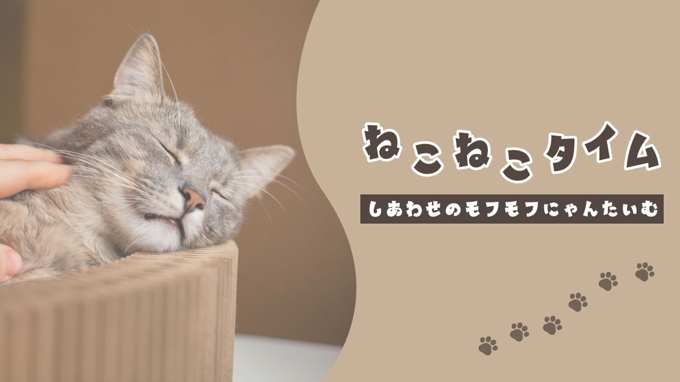 ねこねこタイム-1