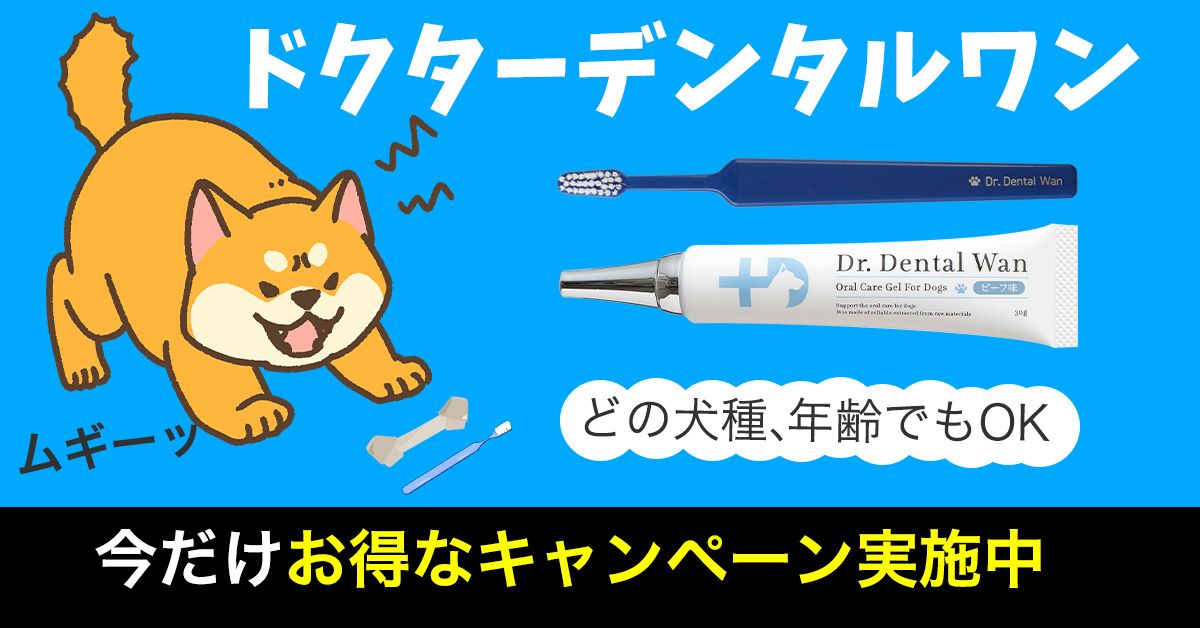 Dr. Dental Wan ビーフ味 30g2本 Amazon.co.jp: 【ドクターデンタルワン】犬 歯磨き 犬 歯磨き