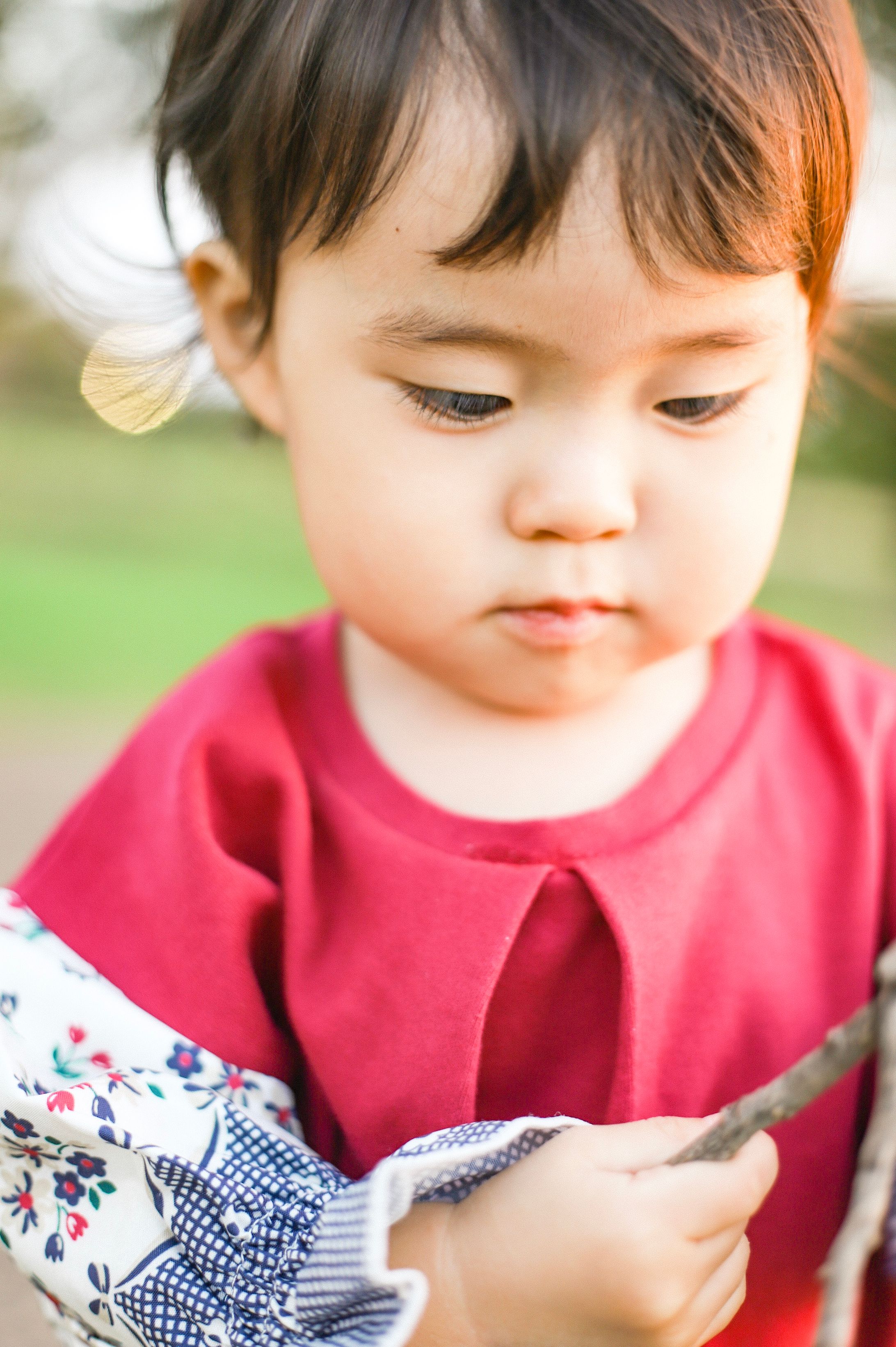 2019 キッズフォト 秋桜-1