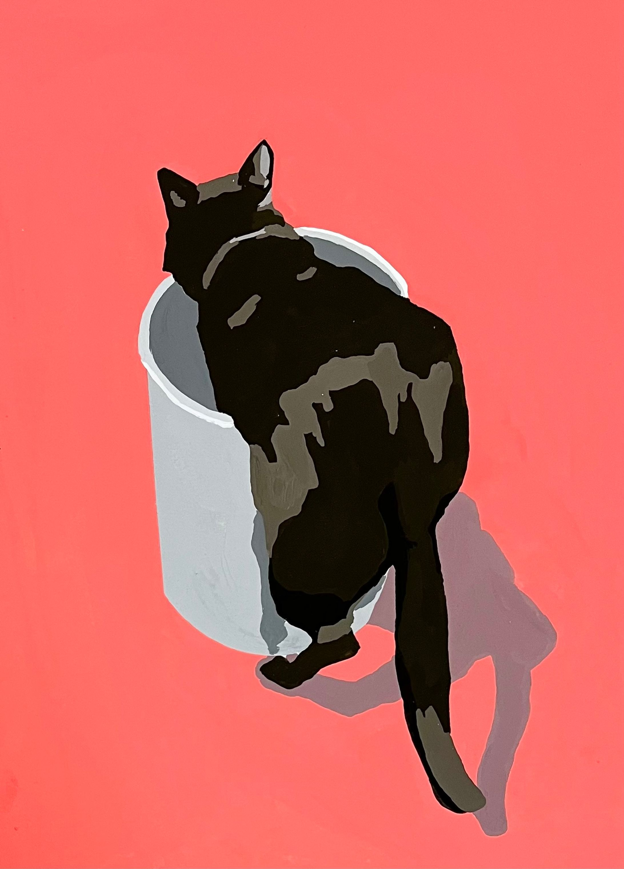CAT CAT CAT!!-1