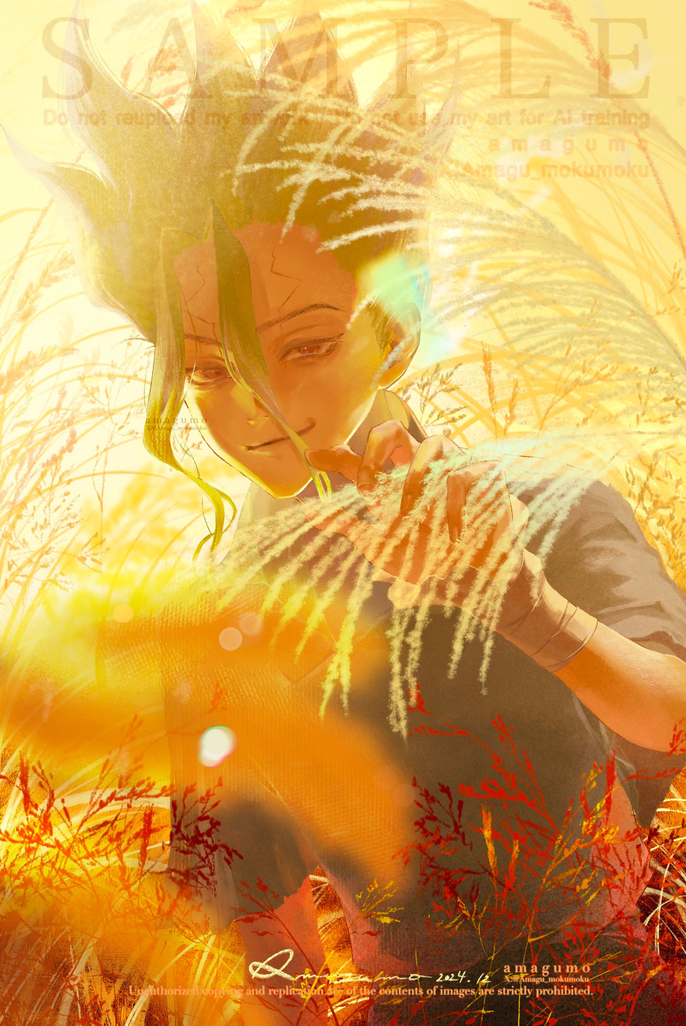 Fanart _ dcst  09-1