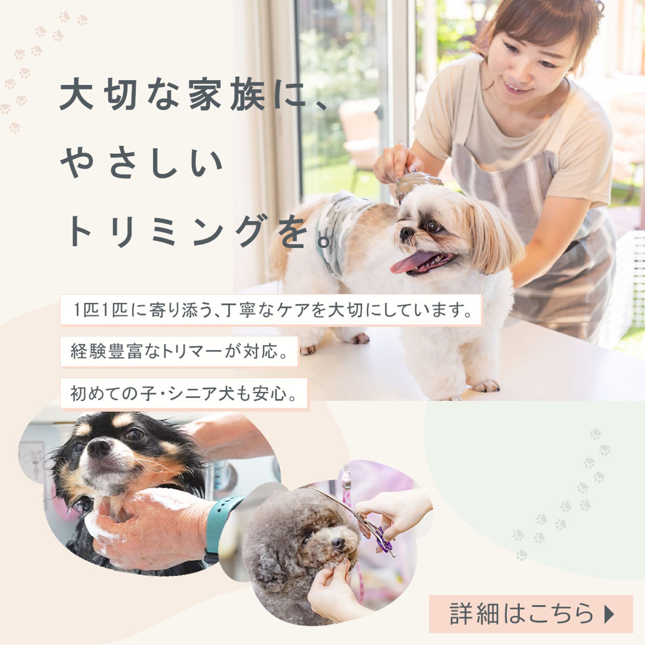 Instagram投稿用バナー：ペットサロン-1