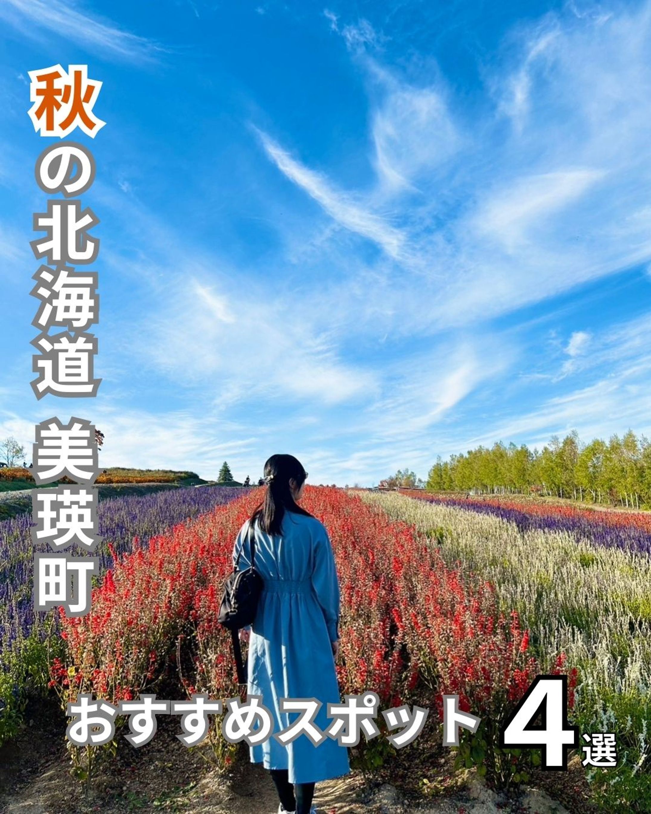 秋の美瑛観光-1