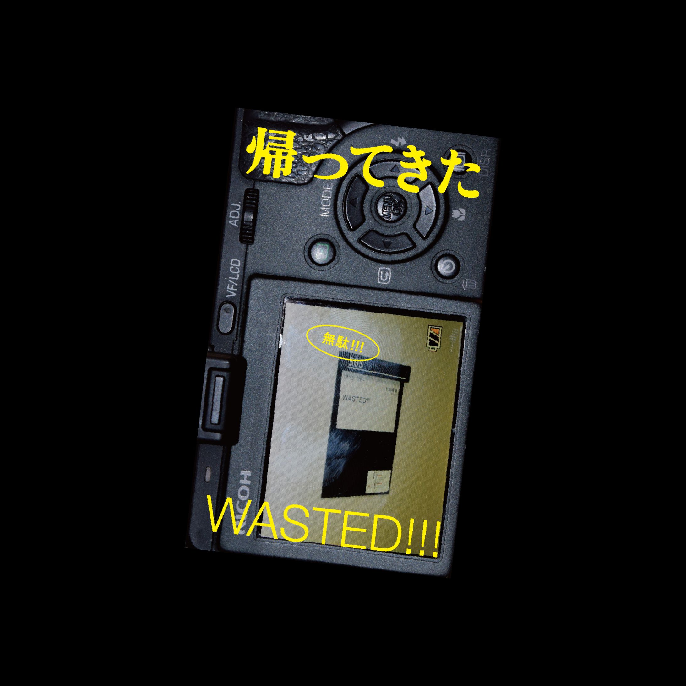 帰ってきたWASTED!!! - flyer-1
