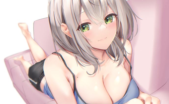 白銀ノエル