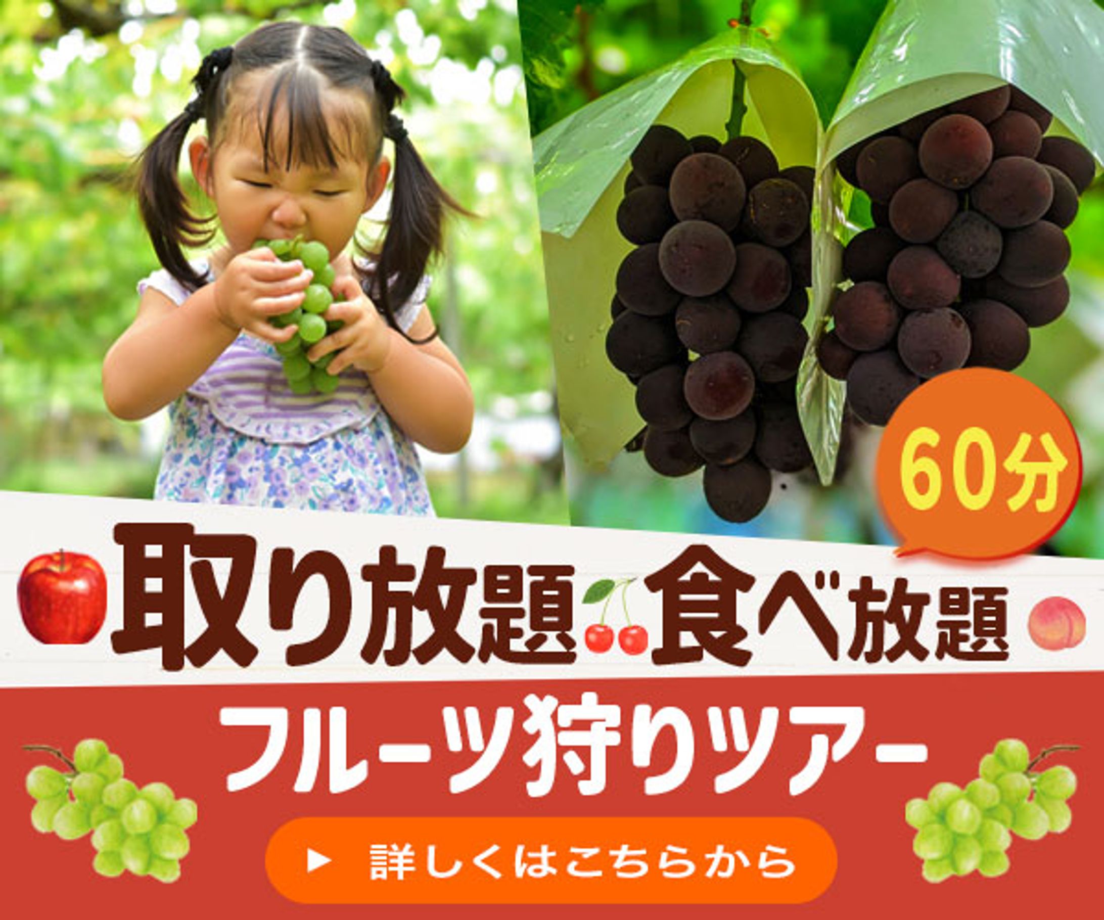 バナー：フルーツ狩り-1