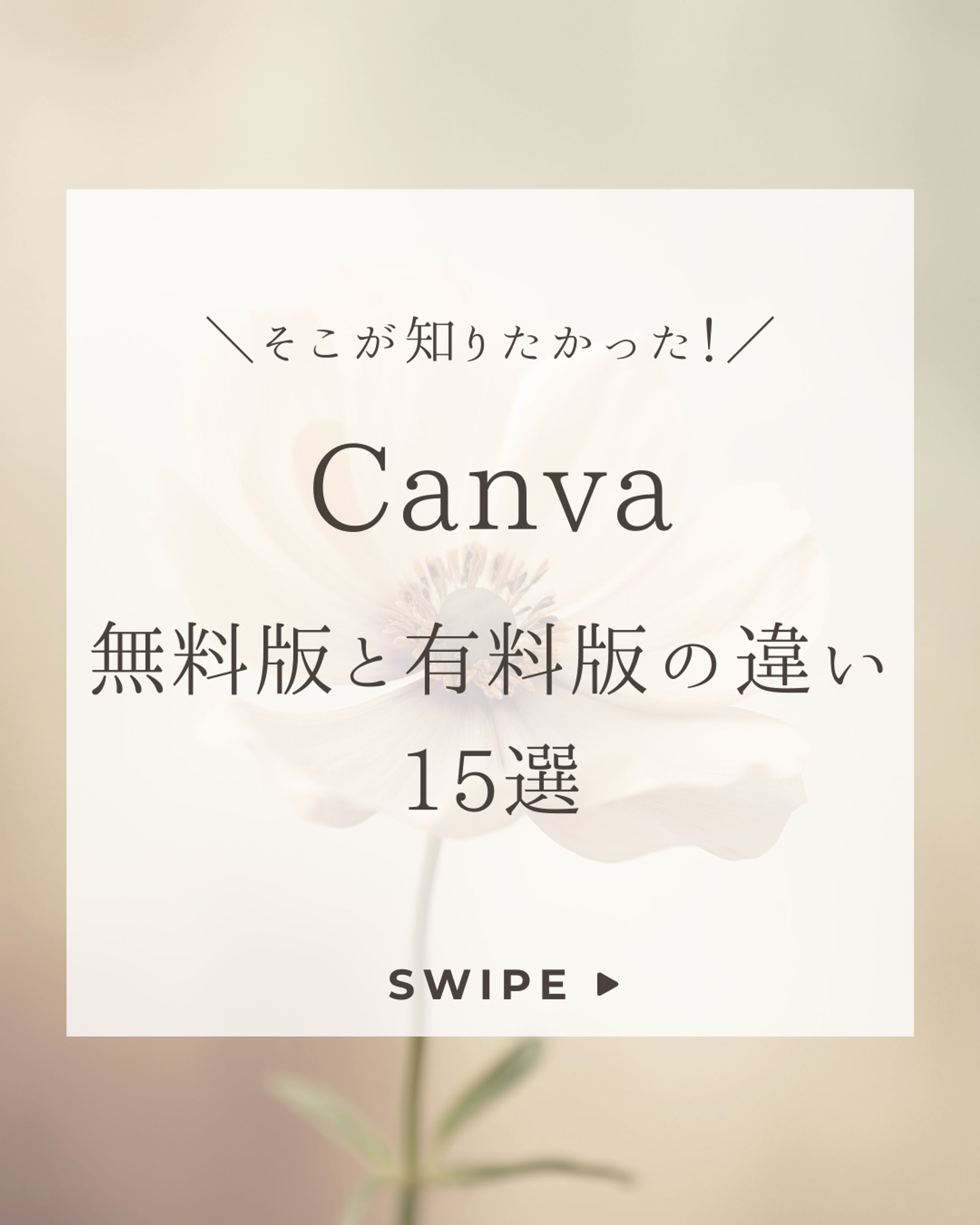 Canva無料版と有料版の違い１５選-1