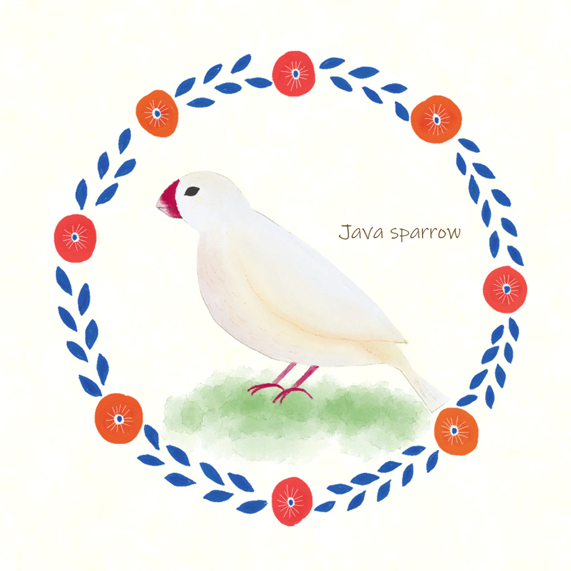 【イラスト】白い文鳥-1