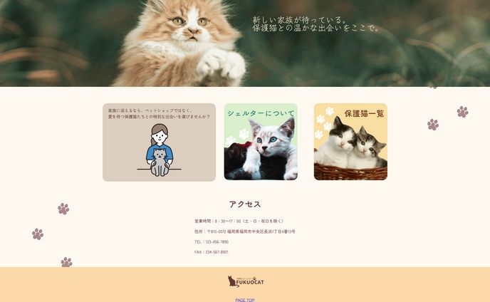 アニメーション、webサイト制作