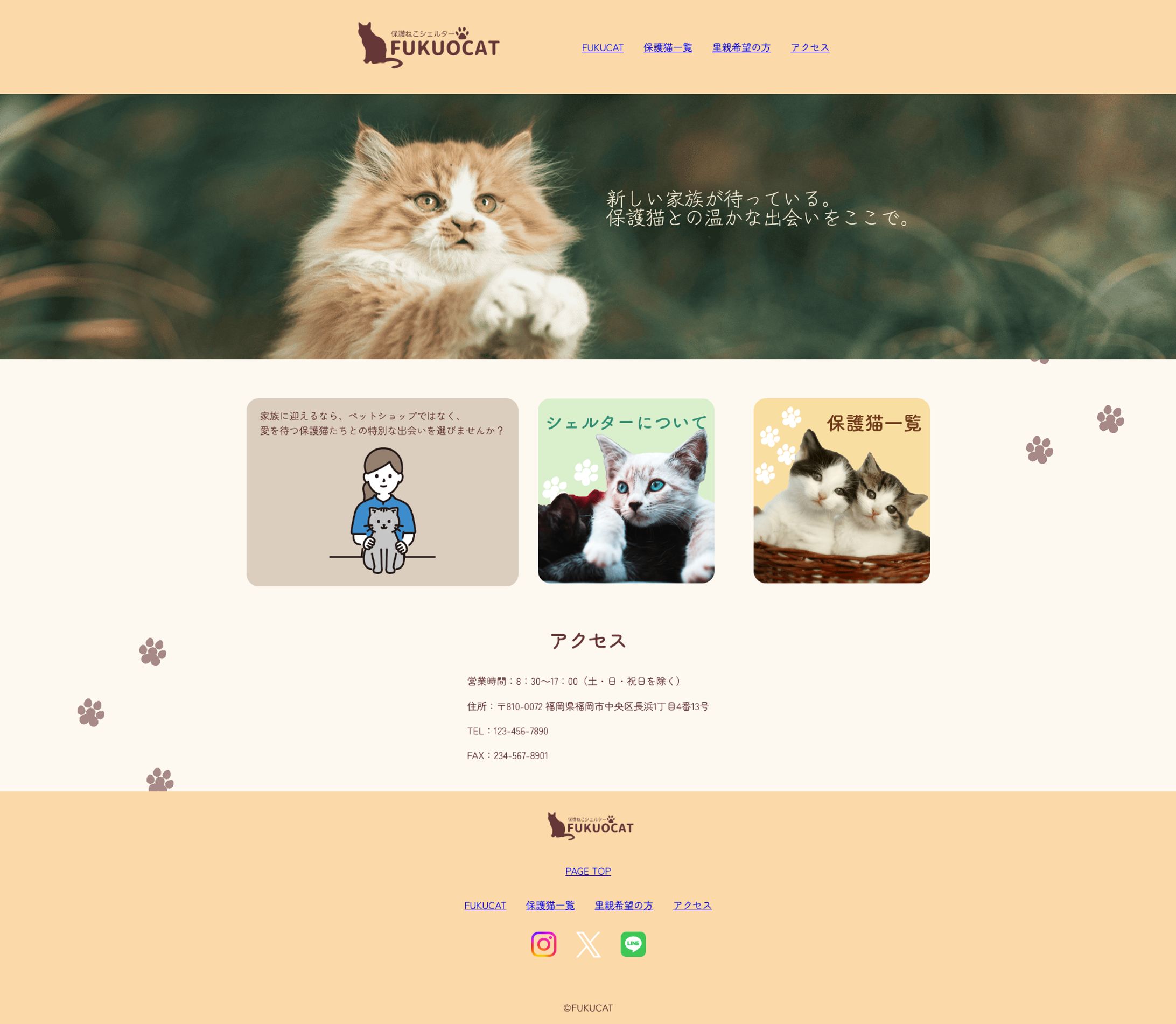 Webサイト制作-1