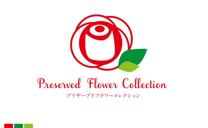 ロゴ、art direction