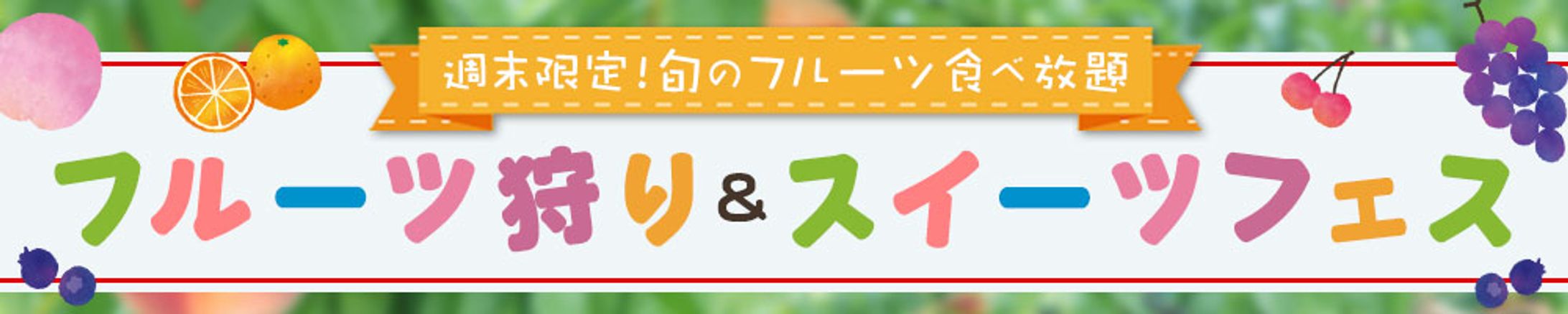 横長バナー：フルーツ狩り体験-1