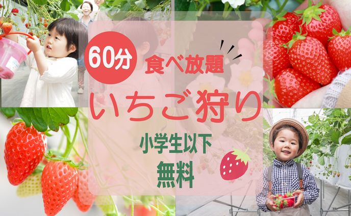 いちご狩り