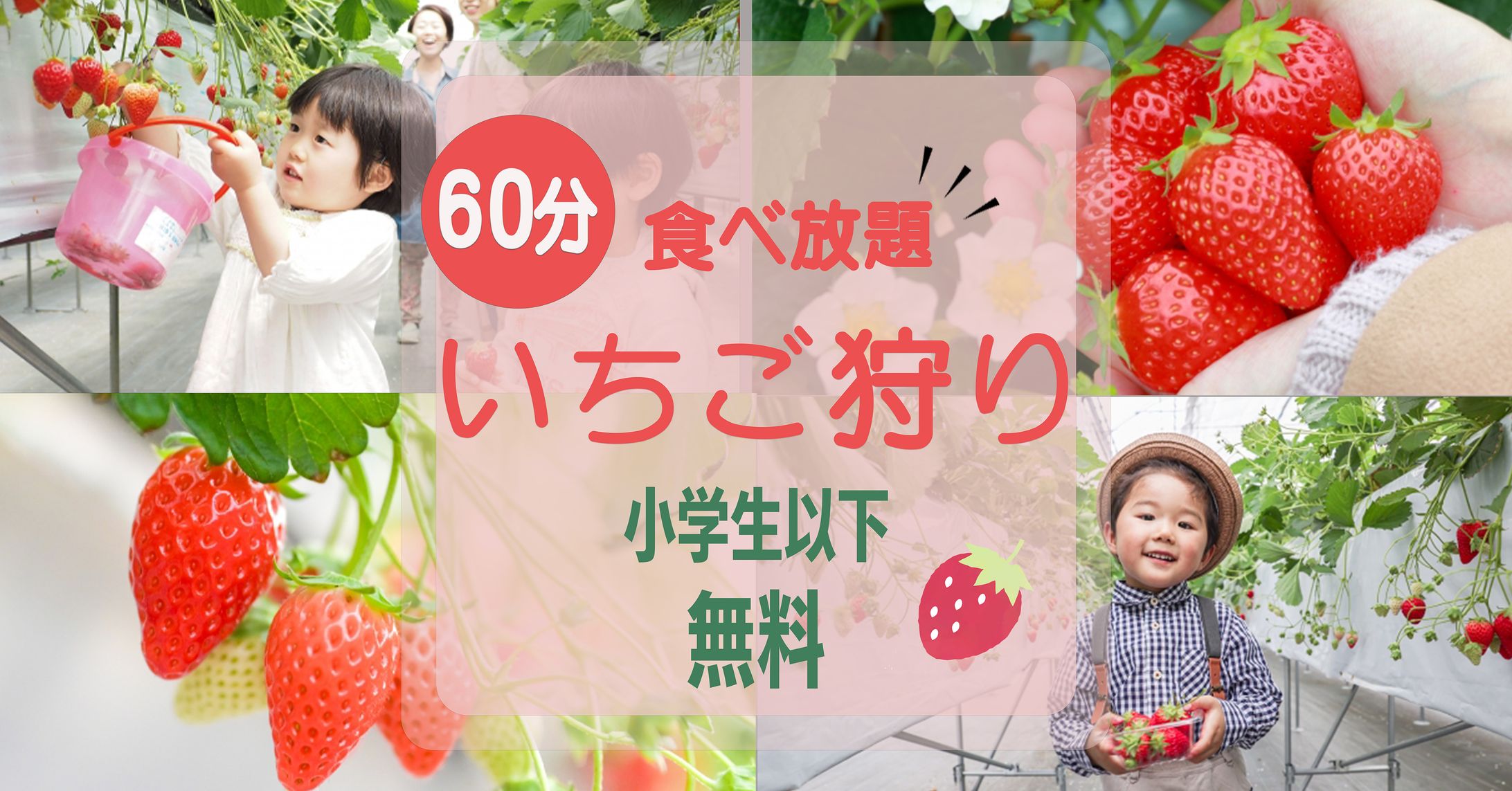いちご狩り-1
