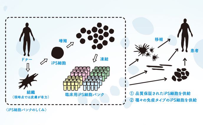 科学情報の図解